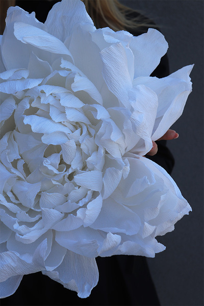 Paper Flower L, ręcznie robiony kwiat papierowy, wym.42x19cm