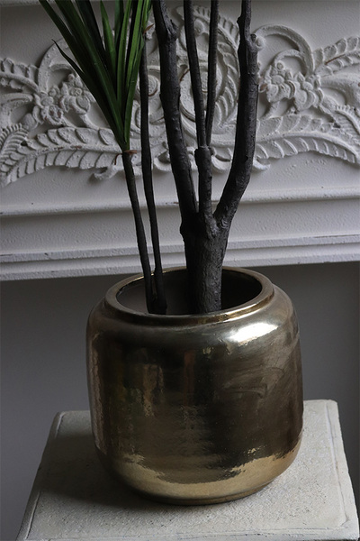 Dracena Goldigo, sztuczna roślina w doniczce