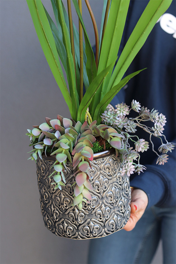 Begra, sztuczny storczyk z sukulentami