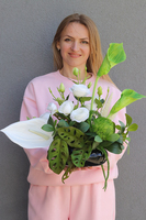 Anturium Pianola, kompozycja kwiatowa w misie