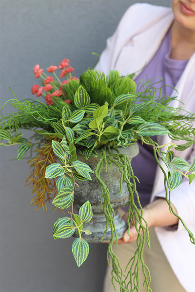 Grefrete, zielona kompozycja w pucharze