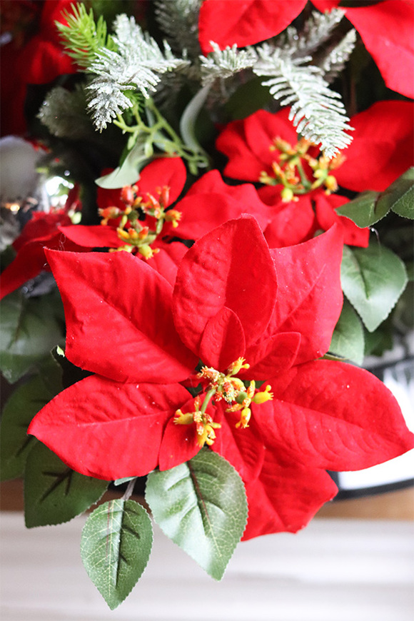 Gwiazda Betlejemska, kompozycja nagrobna w naczyniu