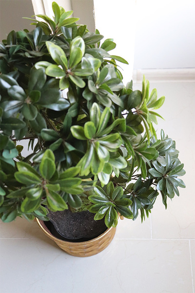 Bonsai Domingo, sztuczna roślina w donicy