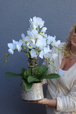 Geolia Letera, sztuczny storczyk w doniczce, wys.57cm 