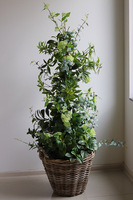 New Green Bahama, drzewko sztuczne kolumnowe w donicy