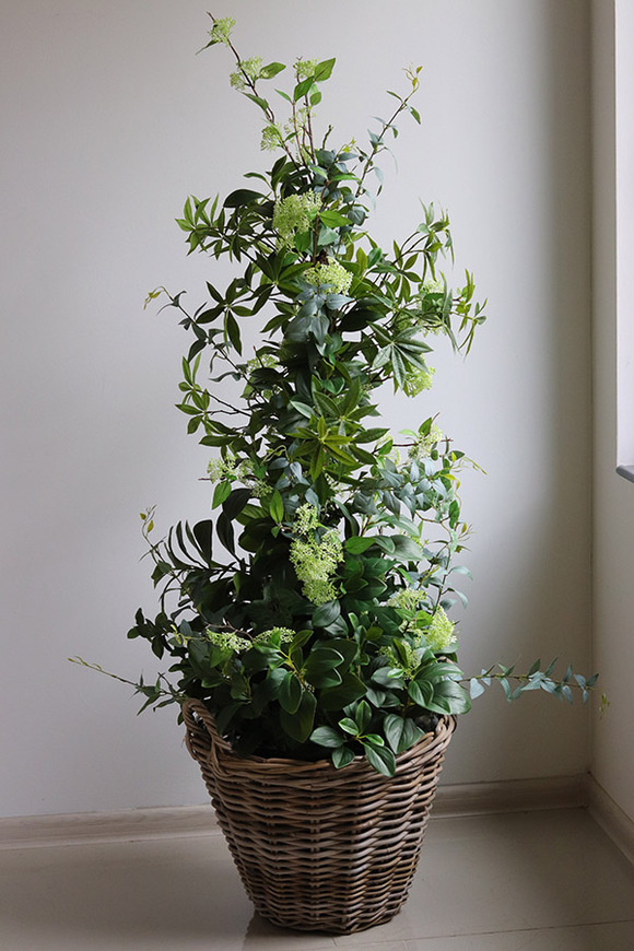 New Green Bahama, drzewko sztuczne kolumnowe w donicy