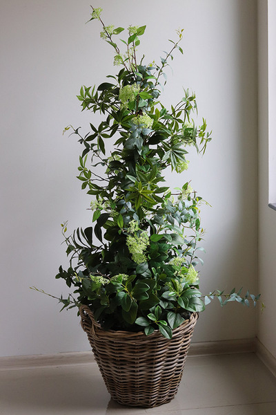 New Green Bahama, drzewko sztuczne kolumnowe w donicy