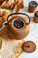 Awaji Modern, żeliwny dzbanek do herbaty