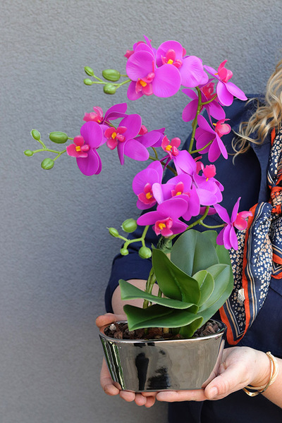 Pinkobella Fuksja 2, gumowy storczyk w lustrzanej donicy