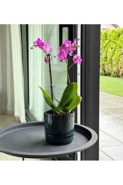 Vintage Mare, ceramiczna doniczka z podstawką