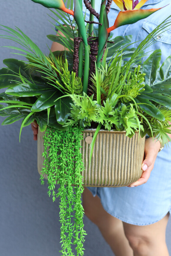 Strelicja Gold, kompozycja w złotej donicy