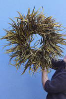 Jesienny Polot, dekoracyjny wianek z suszonych i stabilizowanych roślin, śr.68cm