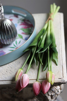 bukiet tulipanów silikonowych, Aprill Pink