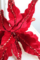 Poinsecja, świąteczny kwiat gwiazdy betlejemskiej