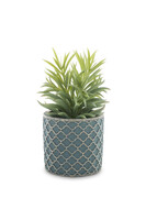 Peperomia Ferreyrae, sztuczna roślina w ozdobnej osłonce, wym.20x12x12cm