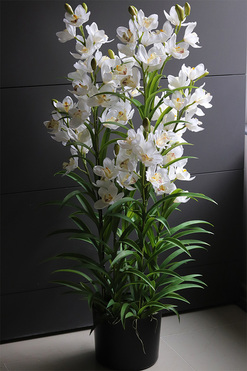 Cymbydium Ambasador, duży sztuczny storczyk XXL w doniczce, wys.124cm