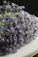 Gałązka sztucznej gipsówki (kaszka) o gumowych kwiatach. Jest trwała i realistyczna.
