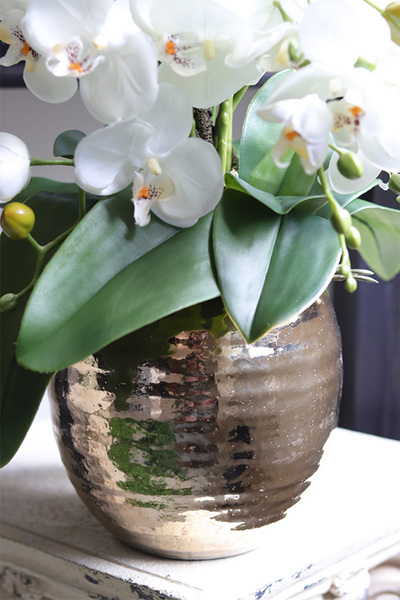 Nediata Gold, sztuczny storczyk w złotej donicy