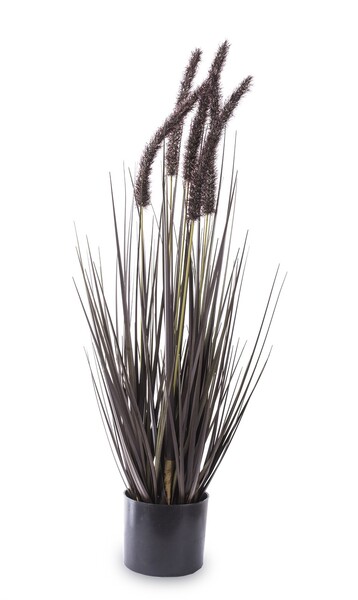 Negra, czarna sztuczna trawa z kłosami, wys.65cm