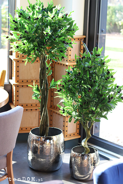 Drzewko Oliwne, sztuczna roślina w doniczce