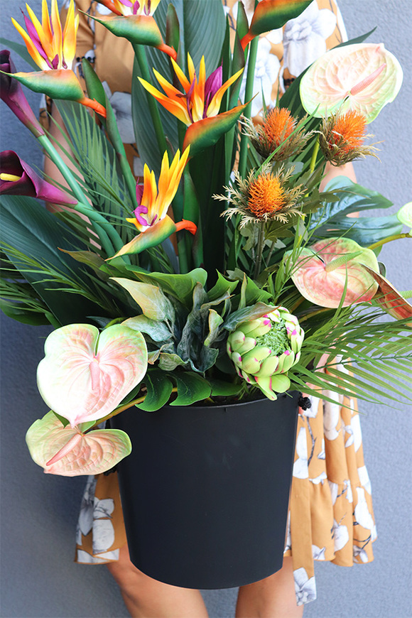 Anturium & Strelicja Saute Lux, egzotyczna kompozycja do donicy klienta, wys.94cm