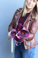 Kalle Purple, bukiet nagrobny kalie