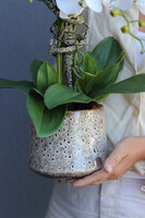 Geolia Letera, sztuczny storczyk w doniczce