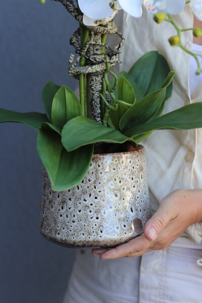 Geolia Letera, sztuczny storczyk w doniczce