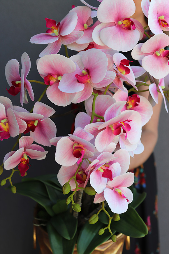 Pink & Gold Honey, gumowy storczyk w złotej donicy, wys.80cm