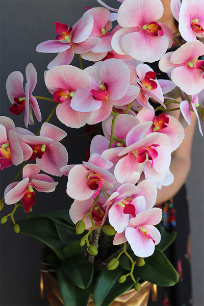 Pink & Gold Honey, gumowy storczyk w złotej donicy, wys.80cm