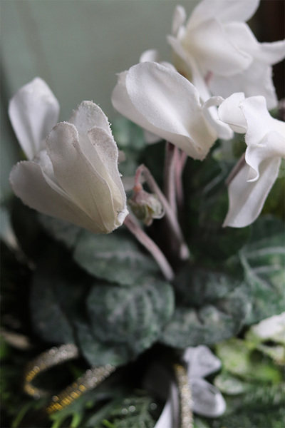 Zimowe Dekory, sztuczny cyklamen w złotym naczyniu, wys.35cm 