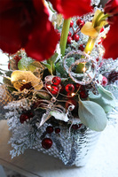 Amarylis Silver Winter, świąteczny stroik z czerwonym amarylisem, wys.60cm  