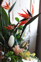 egzotyczna kompozycja w srebrnej donicy, Strelicja Calgary, wys.78cm 