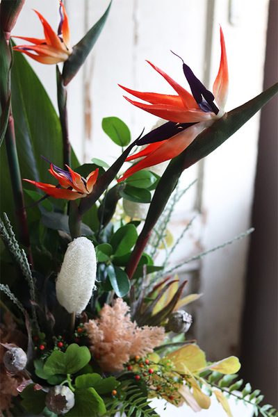 egzotyczna kompozycja w srebrnej donicy, Strelicja Calgary, wys.78cm 