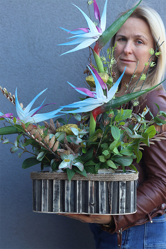 Niebieska Strelicja Wood, egzotyczna kompozycja w donicy