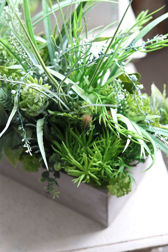 Betonia, kompozycja Sukulenty w betonowej donicy, wym.38x47cm