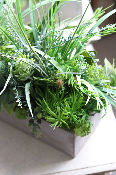 Betonia, kompozycja Sukulenty w betonowej donicy, wym.38x47cm