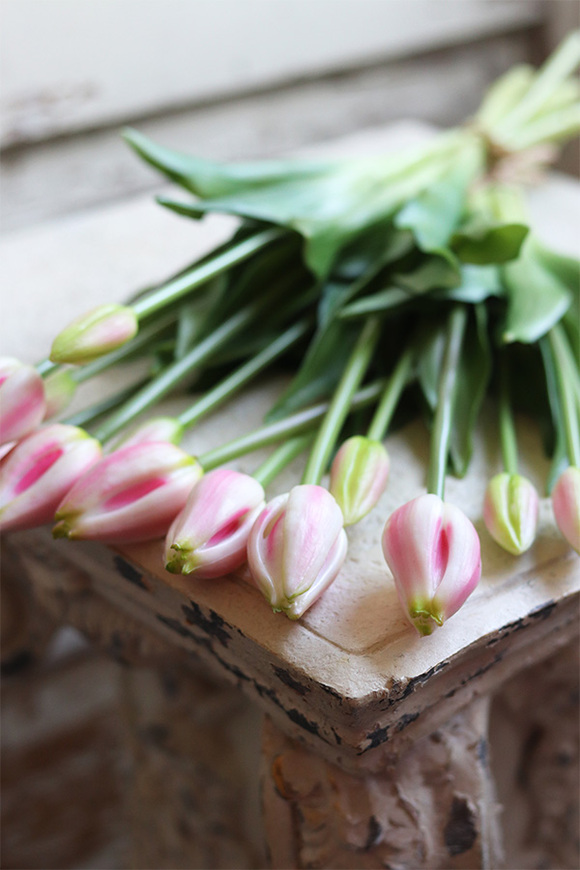 bukiet tulipanów silikonowych Avrill Cream Pink, 7szt. dł.43cm 