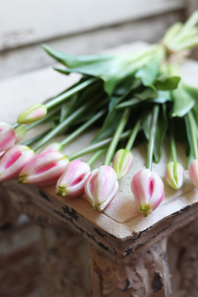 bukiet tulipanów silikonowych Avrill Cream Pink, 7szt. dł.43cm 