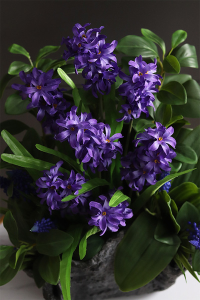 Hiacynta Volcan, kompozycja nagrobna w misie