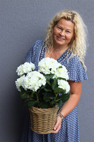 Hortensje Classic, kompozycja kwiatowa w ceramicznym koszu