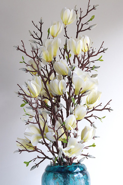 Magnolia Azuria, bukiet kwiatów w wazonie, białe, wys.90cm