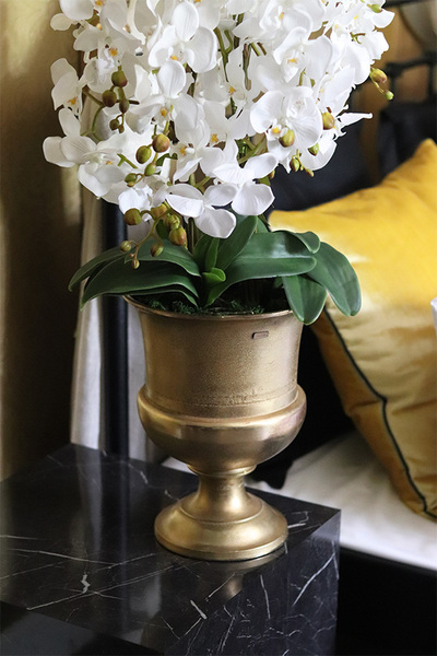 Pucharia Deluxe, storczyk w złotym pucharze, wys.88cm