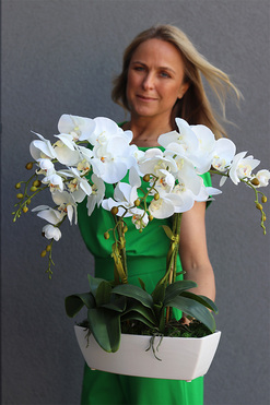 sztuczny storczyk w białej donicy, Nemira, wys.55cm