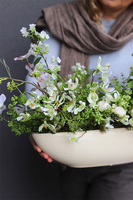 Spring Laos, wiosenna kompozycja