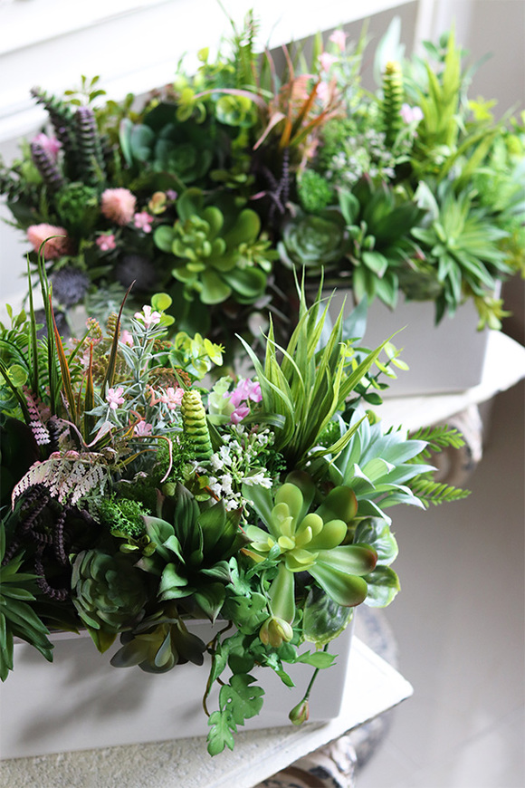 Fragana, kompozycja sukulenty w białej donicy