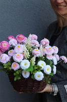 Stokroteczki, wiosenna kompozycja kwiatowa w koszu
