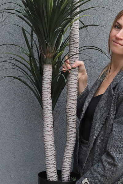 Jukka California, sztuczna roślina drzewko