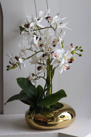 Gold Orchid Bellana, storczyk w złotej donicy