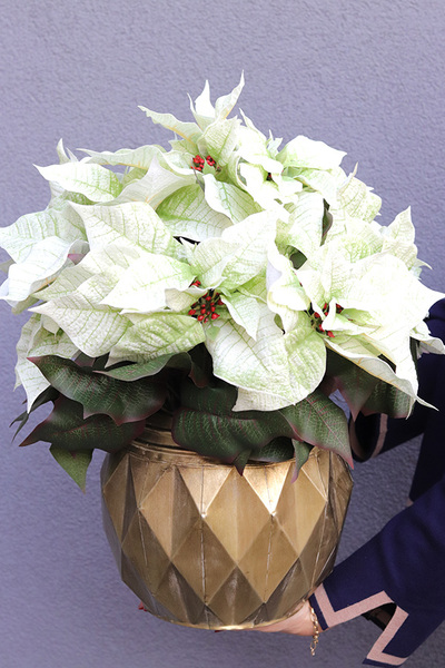 Gwiazda Betlejemska Gold Line, wysokiej jakości sztuczna roślina